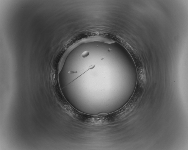 X0000116440615200912151241