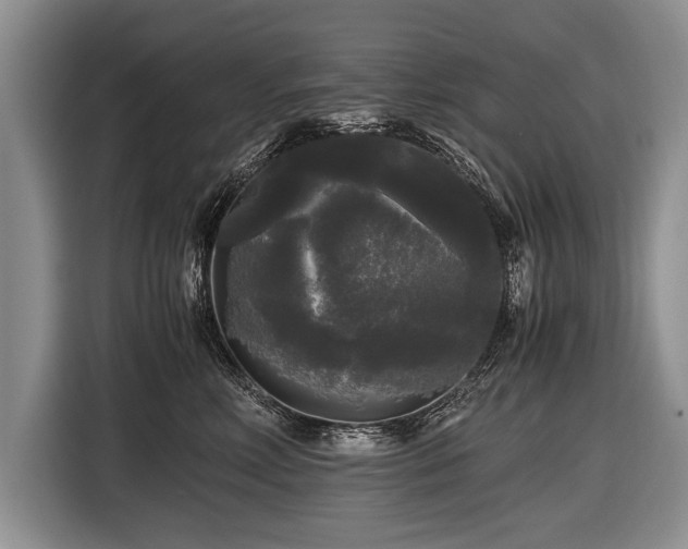 X0000116440618200912151241