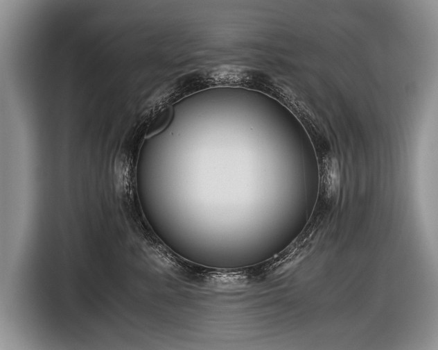 X0000116440619200912151241
