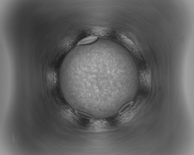 X0000116440621200912151241