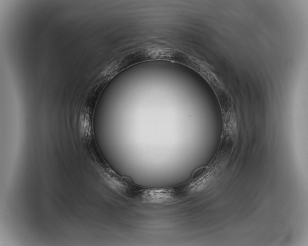 X0000116440622200912151241