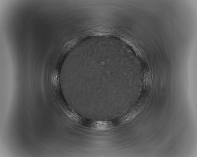 X0000116440623200912151241