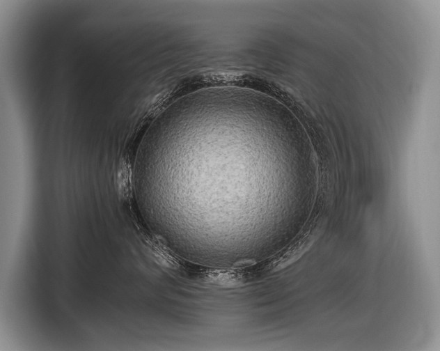 X0000116440624200912151241