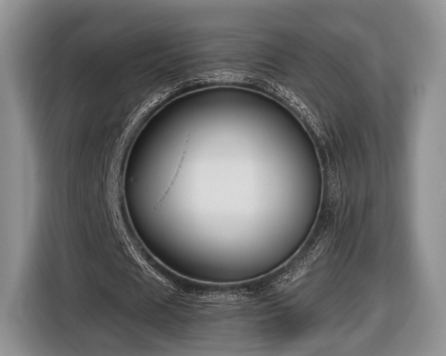 X0000116440625200912151241