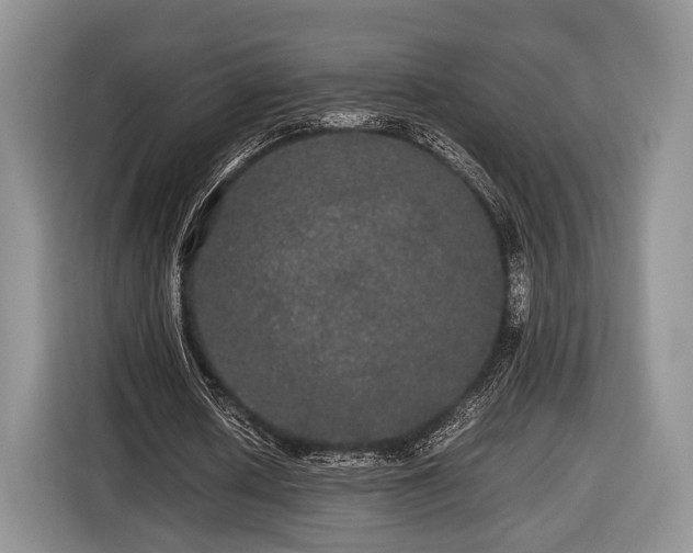 X0000116440626200912151241