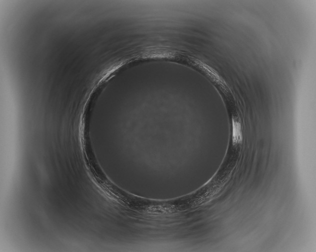 X0000116440627200912151241