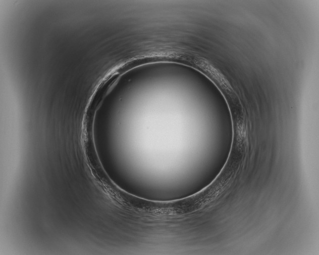 X0000116440628200912151241