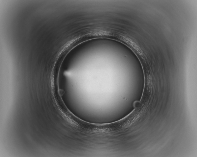 X0000116440629200912151241