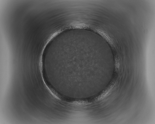 X0000116440630200912151241
