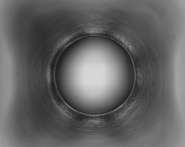 X0000116440631200912151241