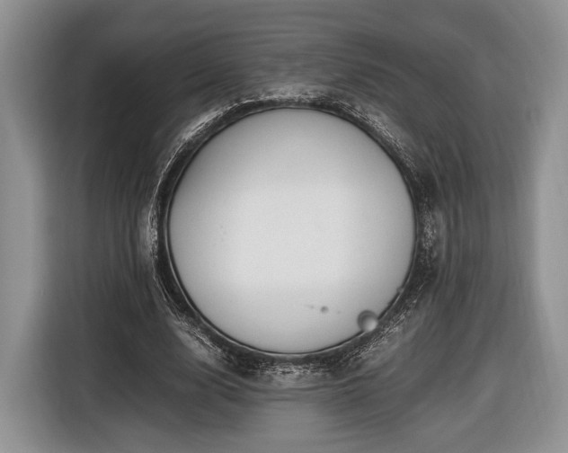 X0000116440632200912151241
