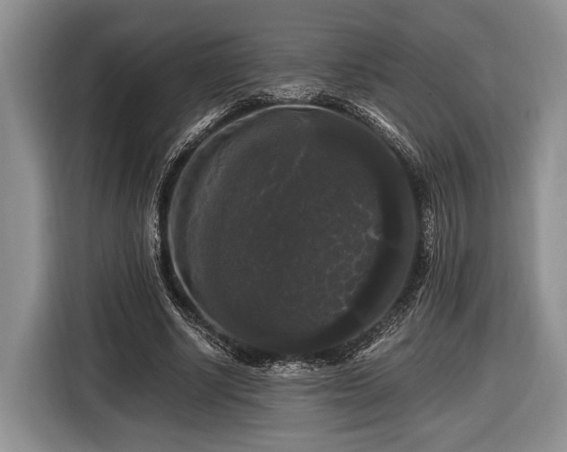 X0000116440634200912151241