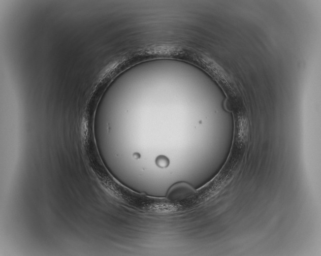 X0000116440636200912151241
