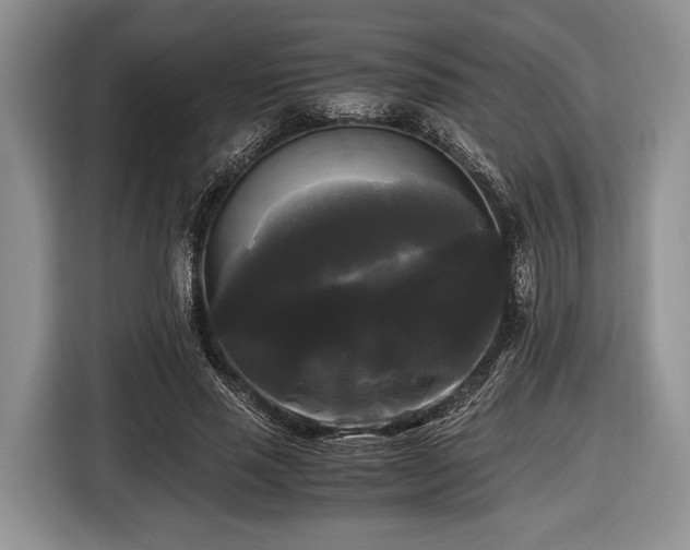 X0000116440637200912151241