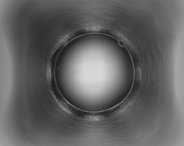 X0000116440638200912151241