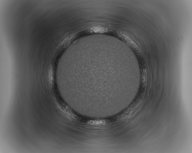 X0000116440639200912151241