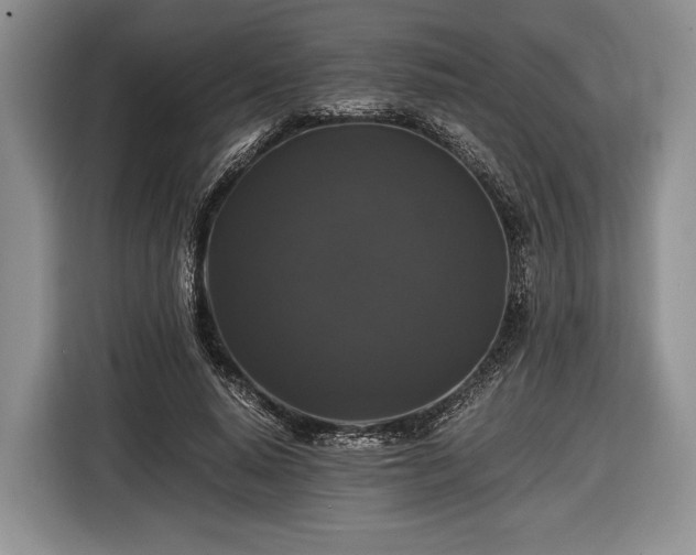 X0000116440640200912151241