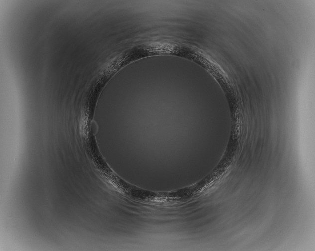 X0000116440641200912151241