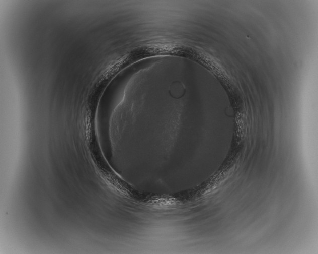 X0000116440642200912151241
