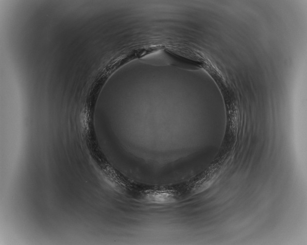 X0000116440643200912151241