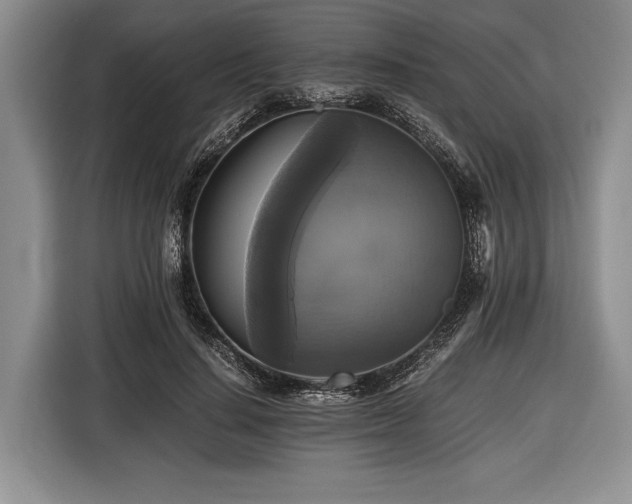 X0000116440644200912151241