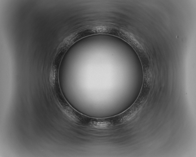X0000116440645200912151241