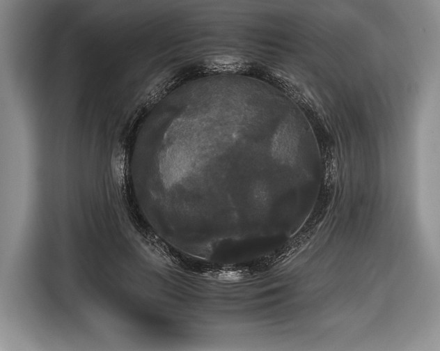 X0000116440647200912151241