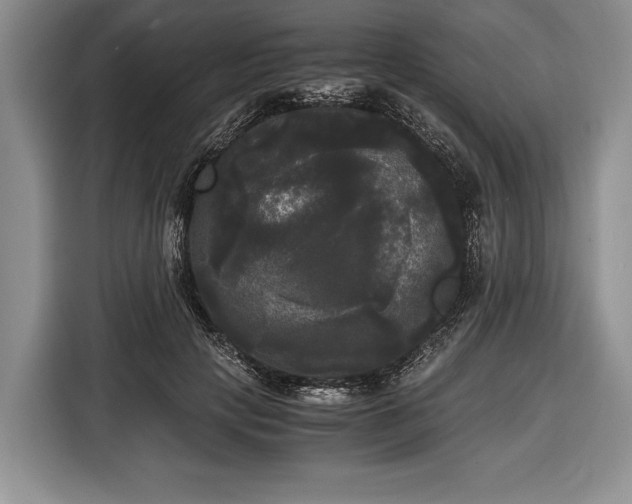 X0000116440649200912151241