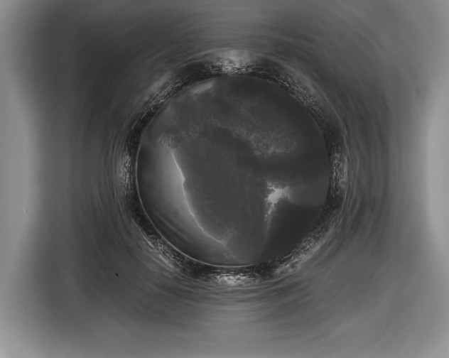 X0000116440650200912151241