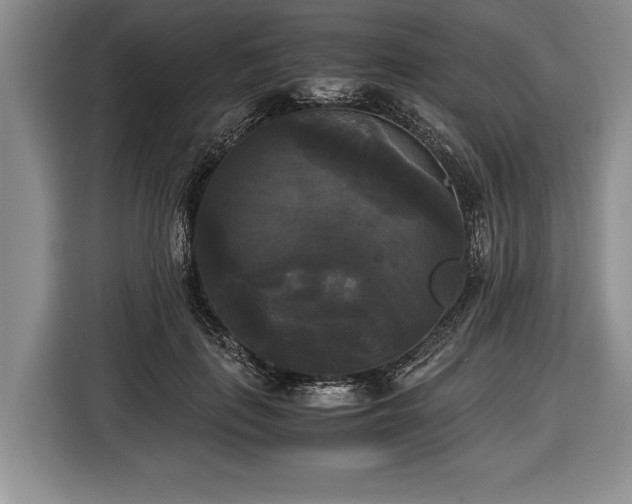 X0000116440651200912151241