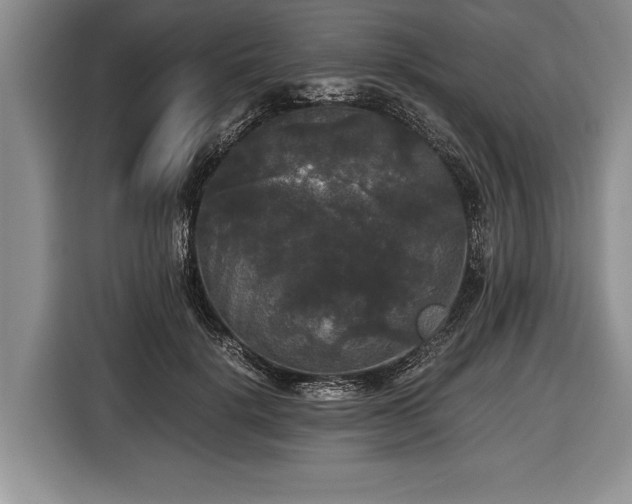 X0000116440652200912151241