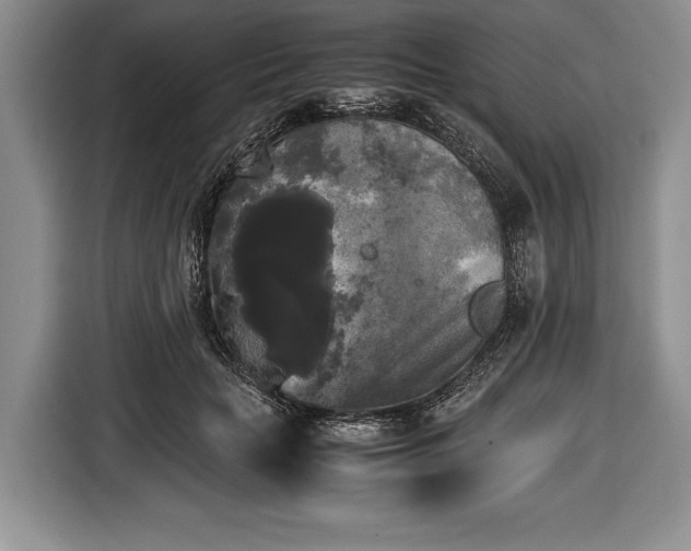 X0000116440653200912151241