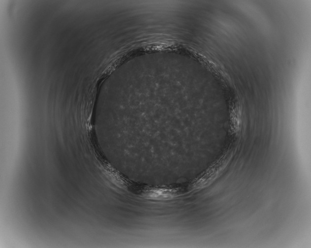 X0000116440657200912151241