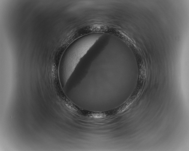 X0000116440659200912151241