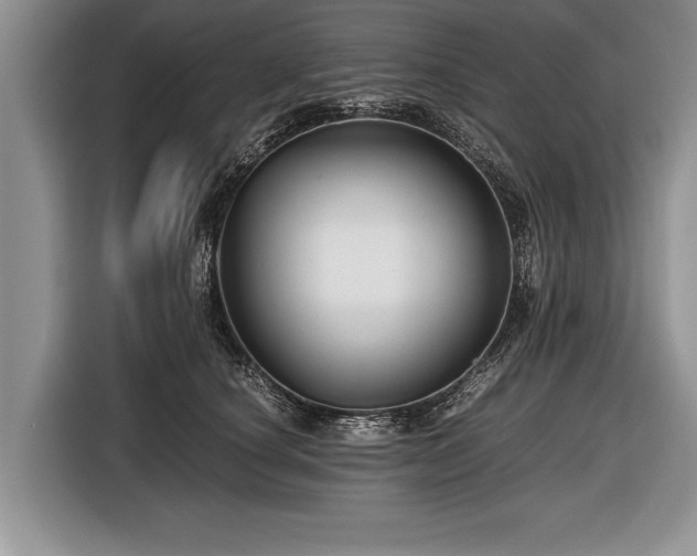 X0000116440660200912151241