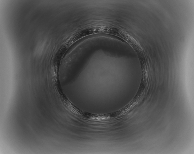 X0000116440661200912151241