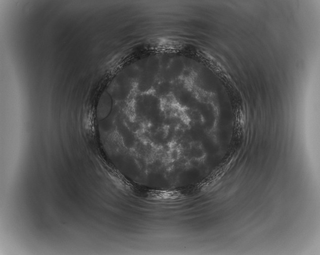 X0000116440663200912151241