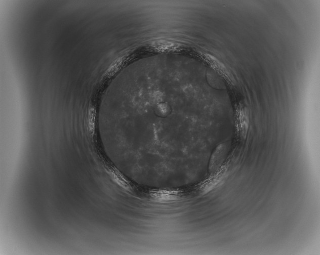 X0000116440664200912151241