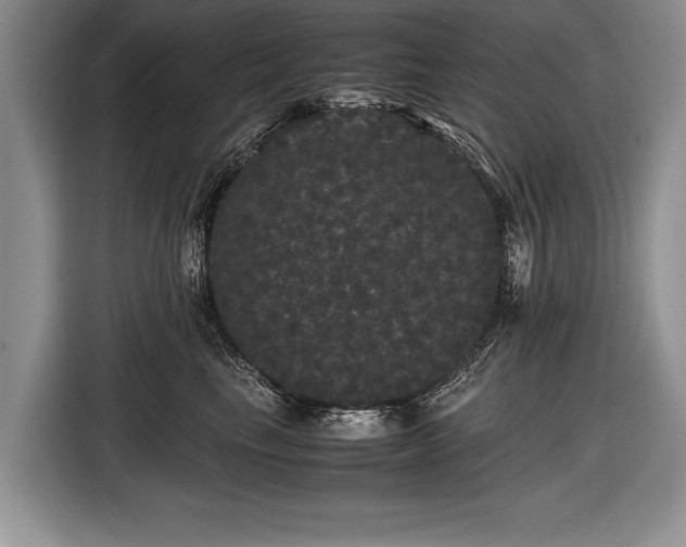 X0000116440665200912151241
