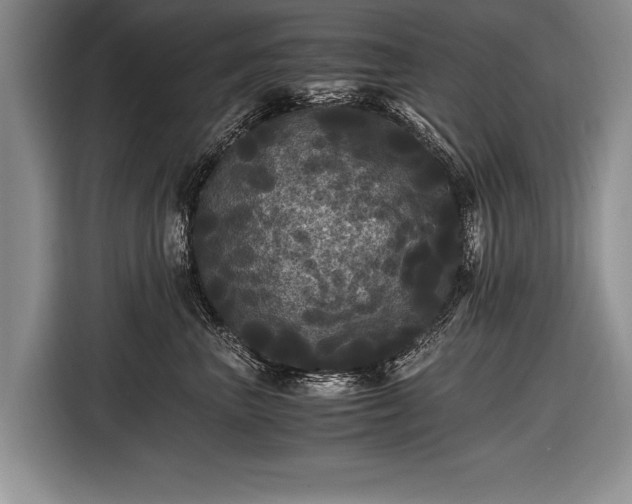 X0000116440667200912151241