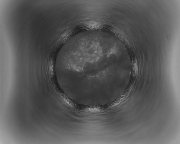 X0000116440668200912151241