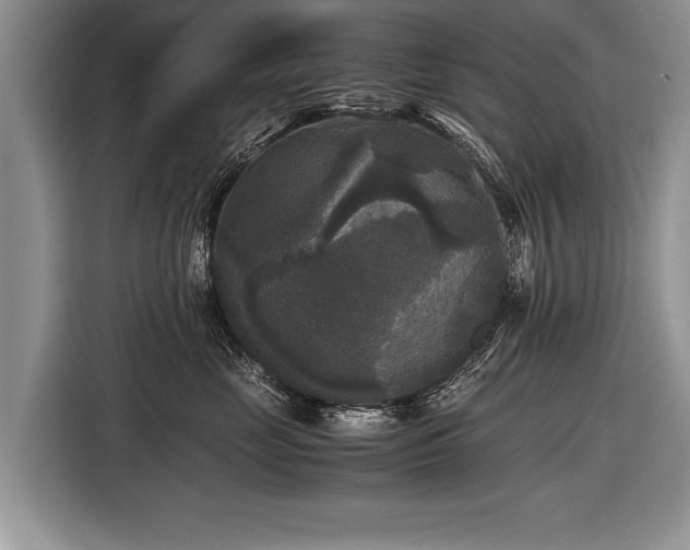 X0000116440669200912151241