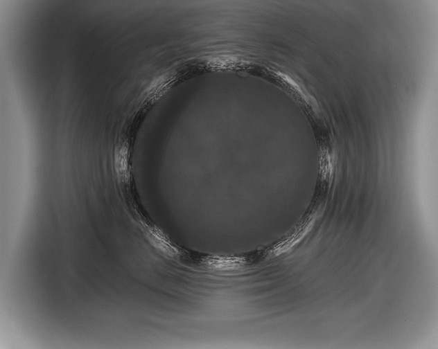 X0000116440670200912151241