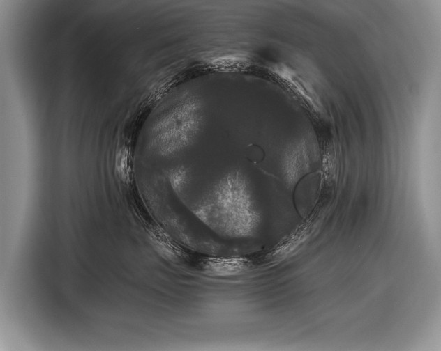 X0000116440671200912151241