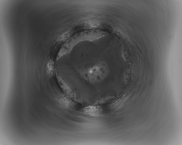 X0000116440672200912151241