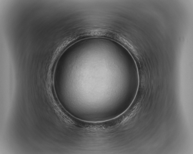 X0000116440673200912151241