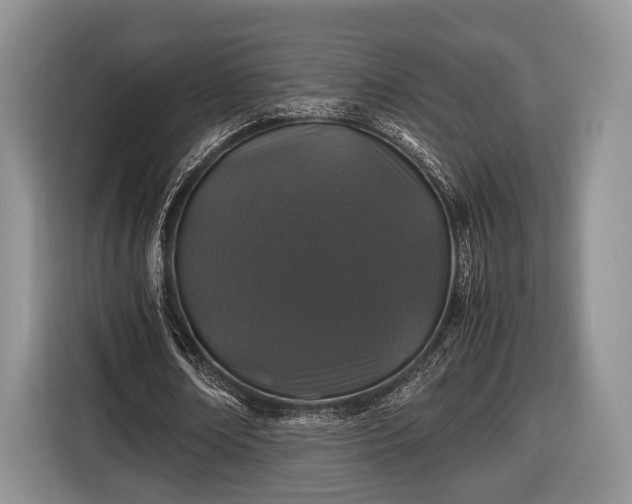 X0000116440674200912151240