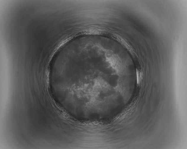 X0000116440675200912151240