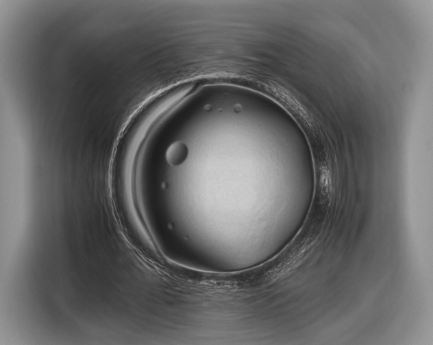 X0000116440676200912151240