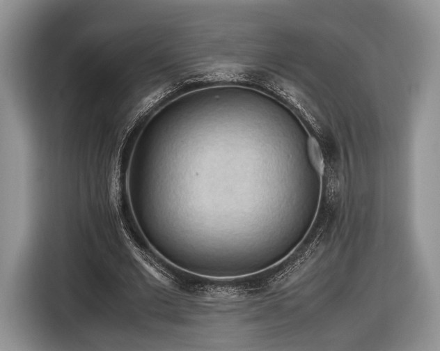 X0000116440677200912151240